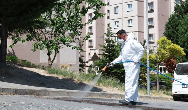 Bursa'da 136 mahallede ilaçlama seferberliği