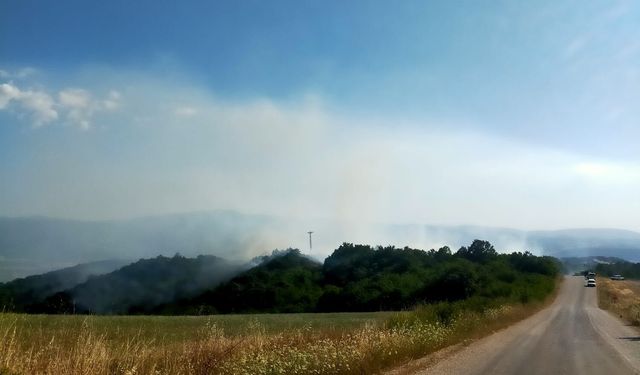 Bursa'da korkutan yangın