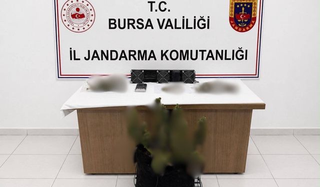 Bursa’da uyuşturucu operasyonu: 3 şüpheliye işlem