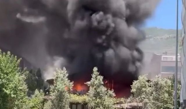 Bursa Gemlik'te Korkutan Yangın!