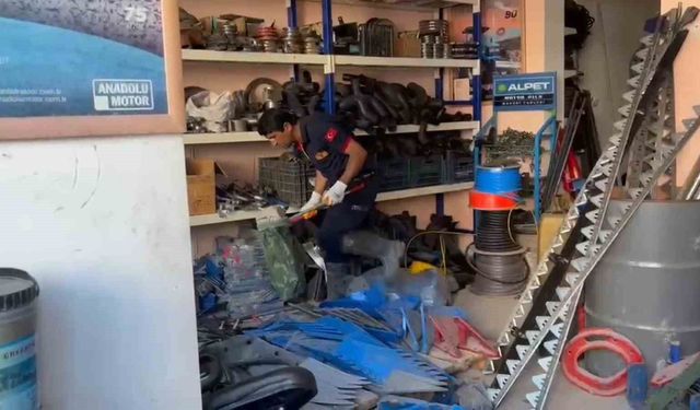 Adilcevaz'da iş yerine giren yılan ekipleri harekete geçirdi