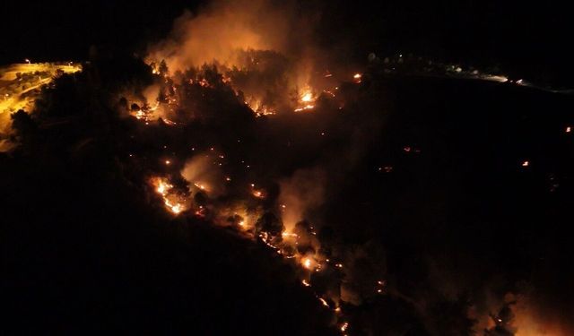 Adıyaman'da orman yangını