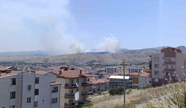 Afyonkarahisar'da otluk alanda çıkan yangına havadan ve karadan müdahale sürüyor