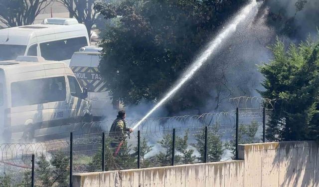 Ağaçlık alanda çıkan yangın büyümeden söndürüldü