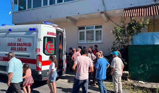 Alaplı'da 'pat-pat' kazası: 5 yaralı