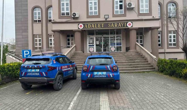 Alaplı'da uyuşturucu operasyonunda 7 kök kenevir ve esrar ele geçirildi