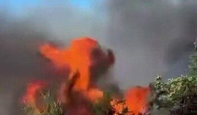 Anız yangını ağaçlara sıçramadan söndürüldü