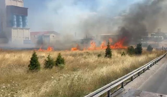 Anız yangını trafikte aksamaya neden oldu