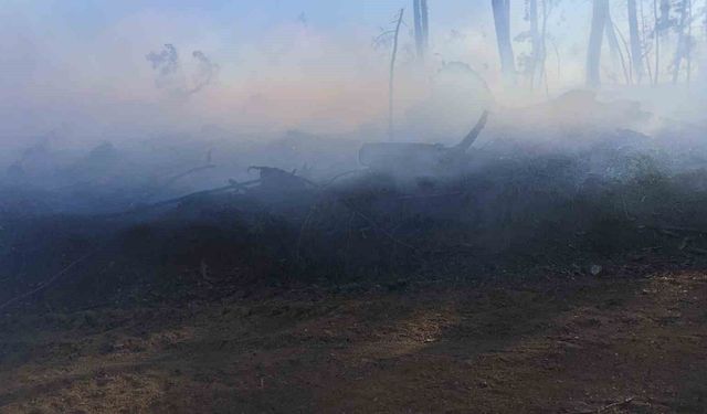 Araç yangını ormanlık alana sıçradı, ekipler alevleri büyümeden söndürdü