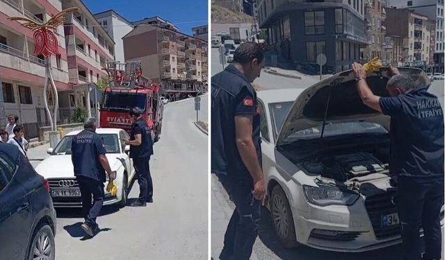 Araca sıkışan yavru kedi itfaiye tarafından kurtarıldı