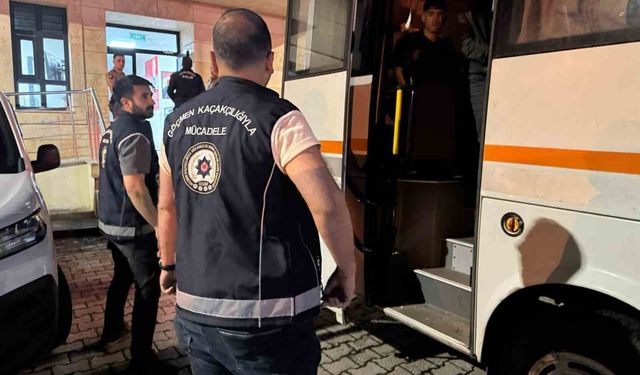 Artvin'de kaçak göçmen operasyonu