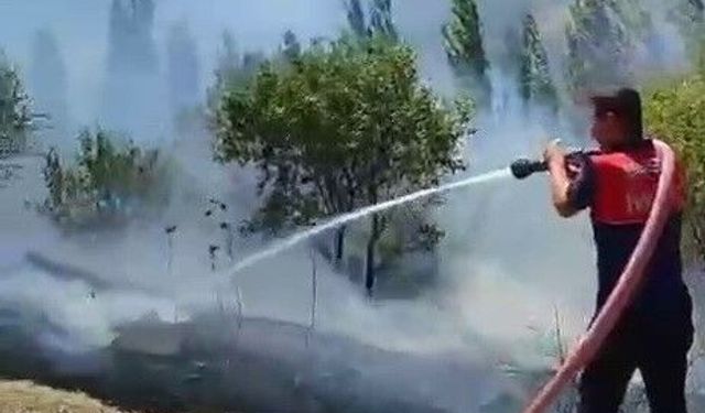 Bahçe yangınında çok sayıda ağaç zarar gördü