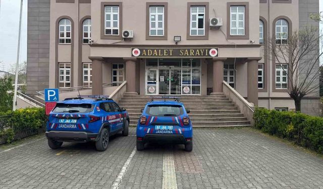 Bahçeye kenevir ekti, ihbarla yakalandı