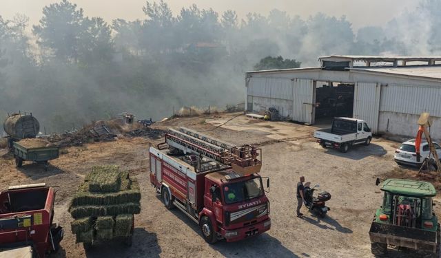 Balıkesir'de üç ayrı noktada yangın