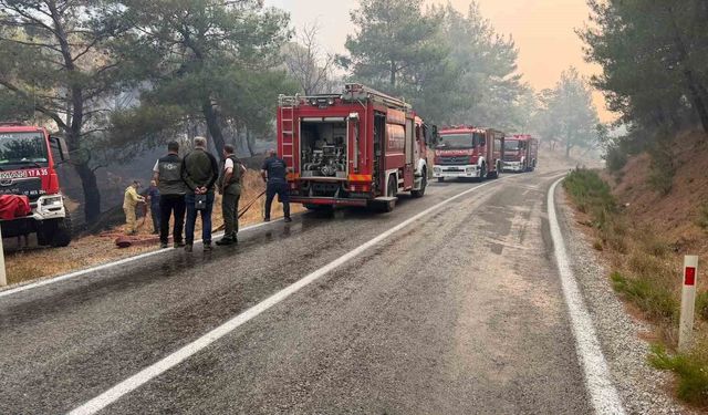 Balıkesir'deki yangın sebebiyle Ayvalık Bergama yolu trafiğe kapatıldı