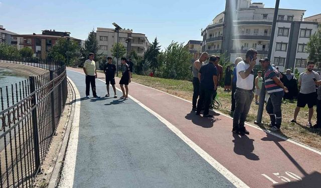 Batman'da selfie çekerken sulama kanalına düştü, vatandaşlar kurtardı