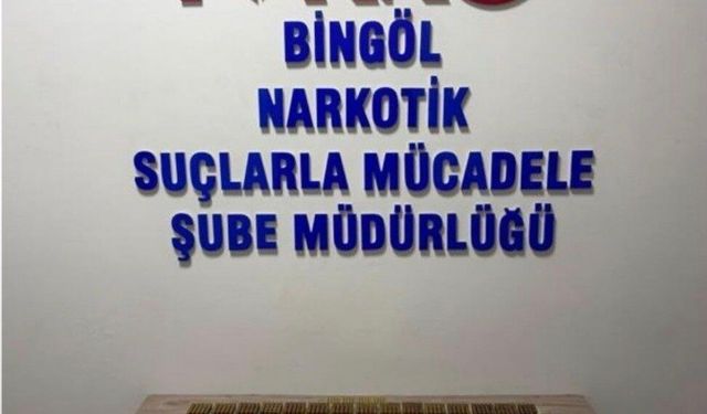 Bingöl'de 600 fişek ele geçirildi: 1 tutuklama