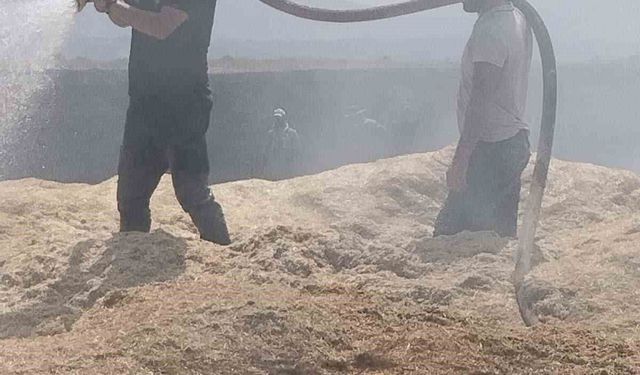 Bingöl'de arazi yangını: 2 bin dönüm arazi zarar gördü