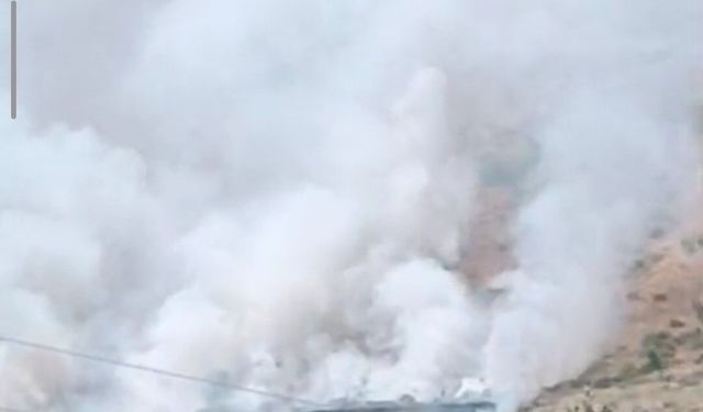 Bitlis'te dağlık alanda yangın: Binlerce arı telef oldu