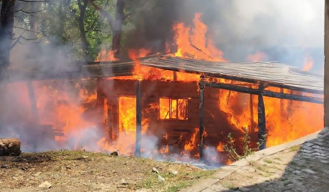 Bitlis'te kereste atölyesinde yangın: Ev, atölye ve mezarlık zarar gördü