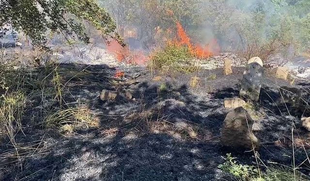 Bitlis'te peş peşe çıkan yangınlar paniğe neden oldu