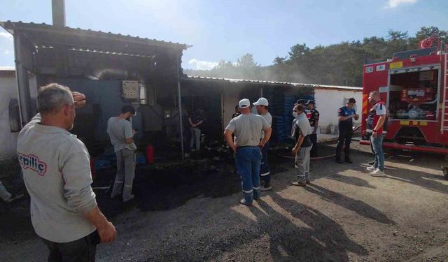 Bolu'da Erpiliç kümeslerinde yükselen dumanlar itfaiyeyi alarma geçirdi
