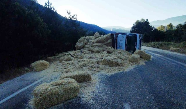 Bolu'da iki kamyon kafa kafaya çarpıştı: Samanlar yola saçıldı, 2 yaralı