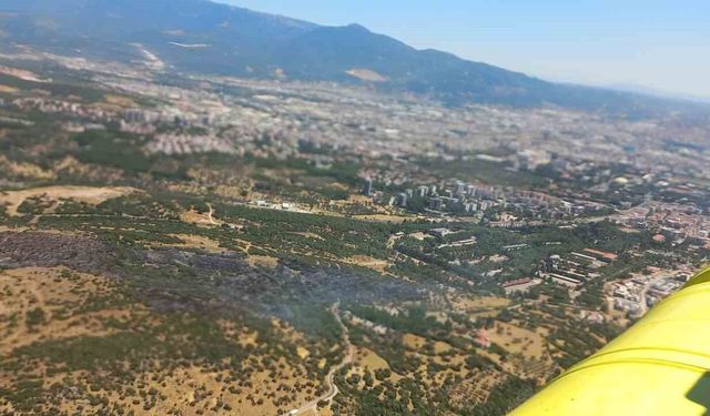 Bornova'daki yangın kontrol altında