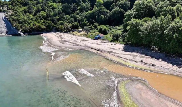 Bu plajdakiler 10 adımda il değiştiriyor