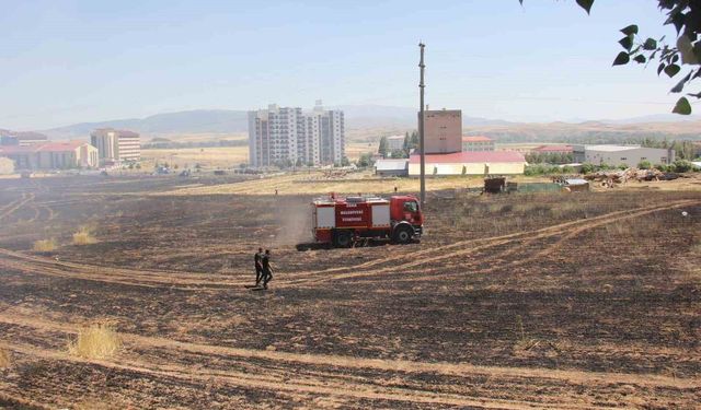 Buğday tarlasında yangın çıktı, dumanlar trafik kazasına neden oldu: 1 yaralı