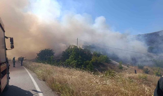 Bursa'daki yangında 100 dönüm alan zarar gördü
