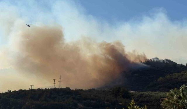Çanakkale'de 4 gün boyunca ateş yakmak yasaklandı