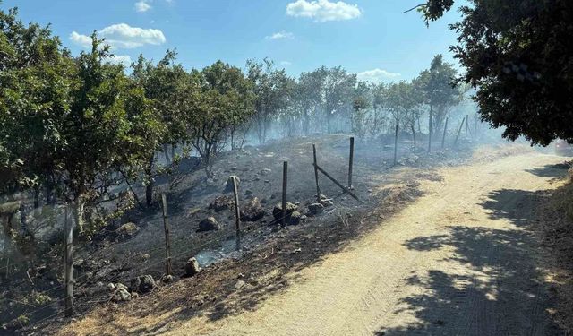 Çanakkale'de tarım arazisinde çıkan yangın kontrol altına alındı