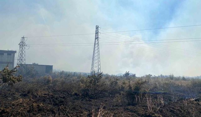 Çanakkale'de tarım arazisinde yangın