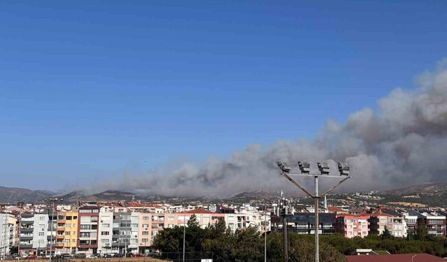 Çanakkale'deki orman yangınına müdahale sürüyor