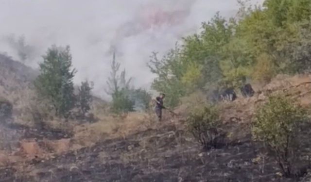Çankırı'da çıkan arazi yangını söndürüldü