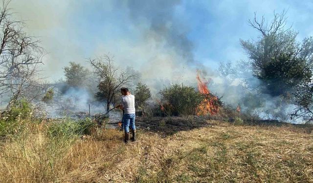 Çankırı'da örtü yangını ağaçlık alana sıçradı