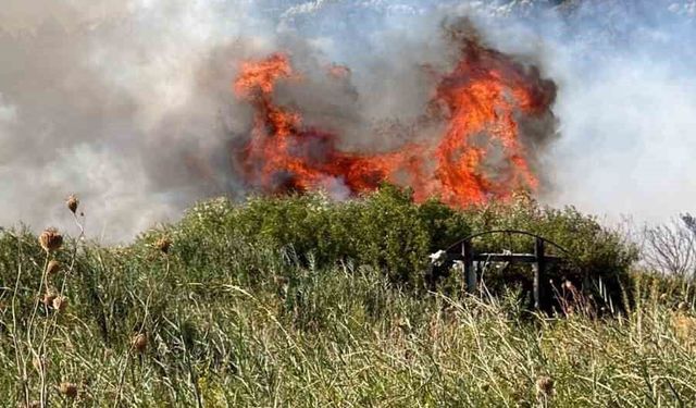 Datça'da makilik alanda yangın: '2 dönüm makilik zarar gördü'