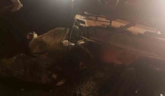 Diyarbakır'da aracın daldığı sürüdeki 15 koyun telef oldu