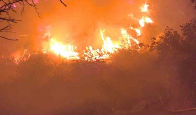 Diyarbakır'da çıkan örtü yangını söndürüldü