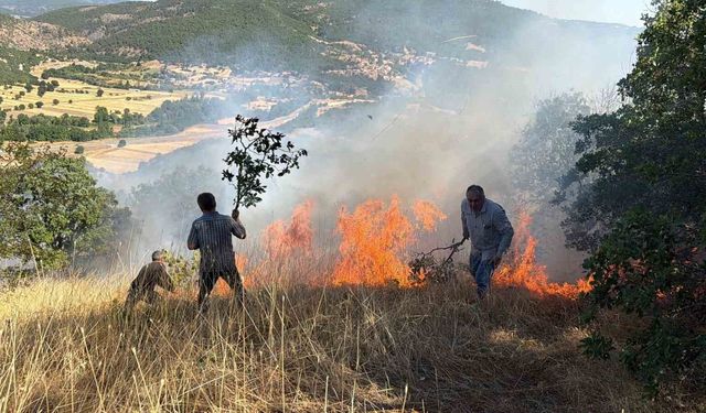 Domaniç'te tarlada başlayan ve ormanlık alana sıçrayan yangın söndürüldü