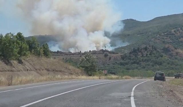 Domaniç'te tarlada başlayan yangın ormana sıçradı