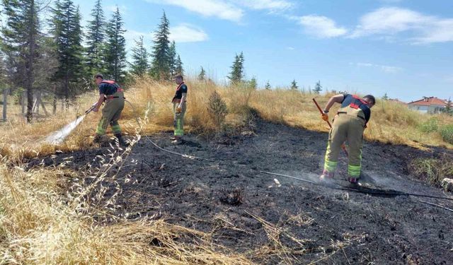 Edirne'de alevlerin arasında kalan kaplumbağa kurtarıldı