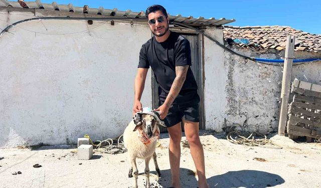 Ehliyetine 5 yıl sonra kavuştu, sevincini kurban keserek kutladı