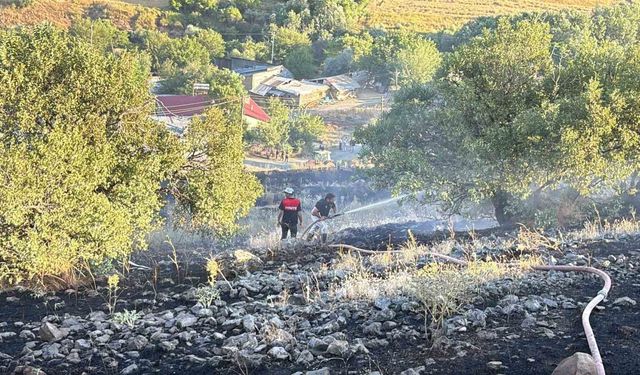 Elazığ'da arazi yangını