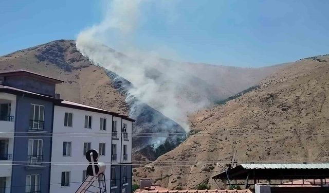 Elazığ'da dağlık alanda yangın