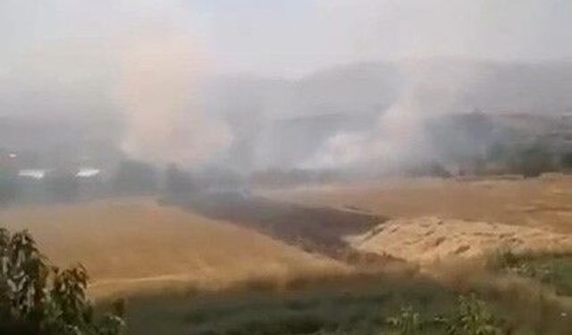 Elazığ'da otluk alanda yangın