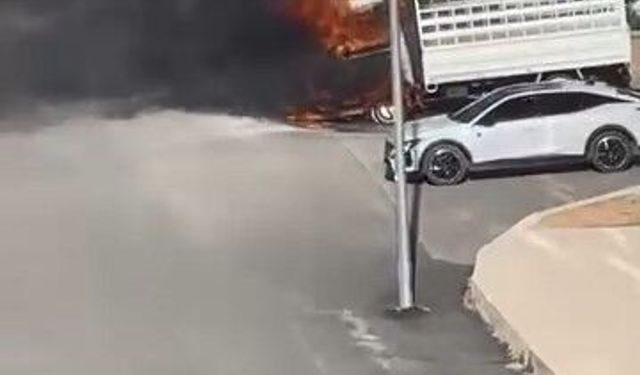 Elazığ'da pikap alev topuna döndü
