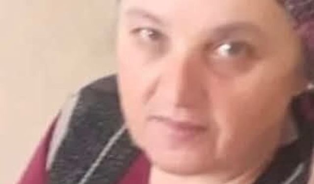 Eşek arısı sokan kadın hayatını kaybetti