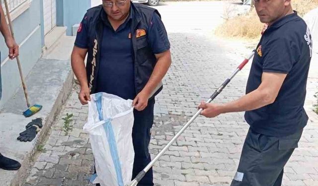 Eve giren yılan paniğe neden oldu